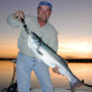 Meet your Posher, Lee